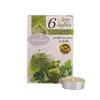 Свічка-таблетка Candlesense Decor ароматизована Green Tea 6 шт (4,5 год)
